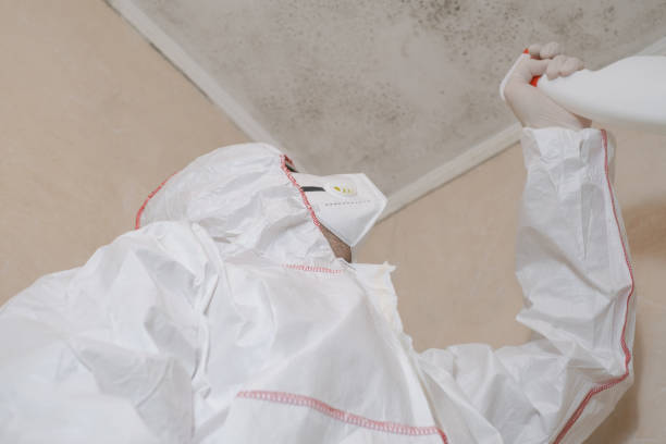 Best Insurance-Related Mold Remediation in Lakemoor, IL