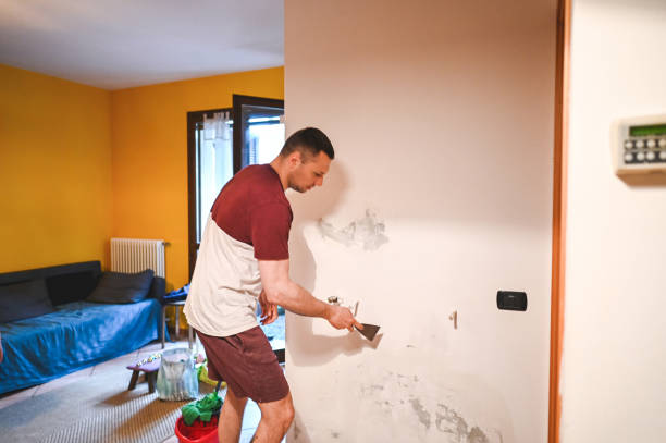 Best Crawl Space Mold Remediation in Lakemoor, IL