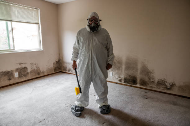 Best Residential Mold Remediation in Lakemoor, IL